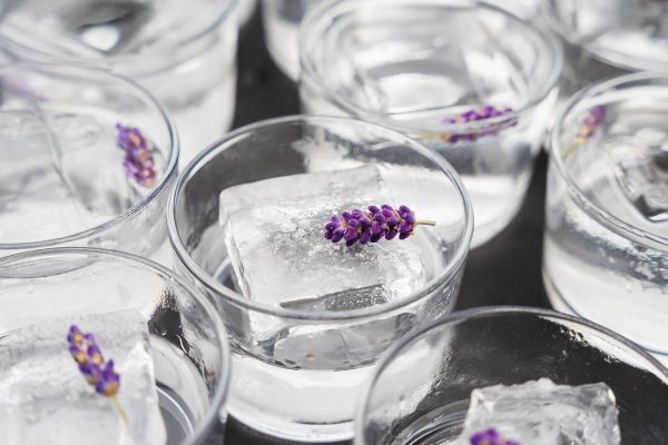 World Spirits Report 2023: Vodka