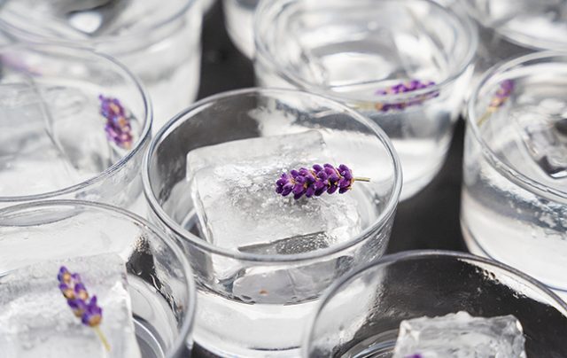 vodka in glasses with lavender
