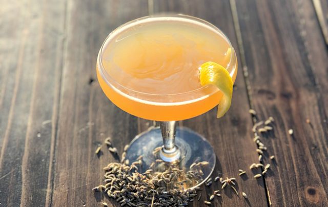 Bee’s Knees Cocktail