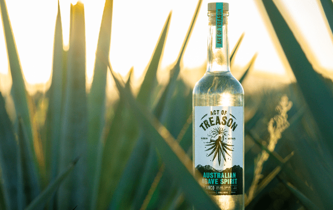 Australian agave spirit Act of Treason 