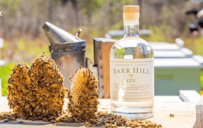 Barr Hill Gin