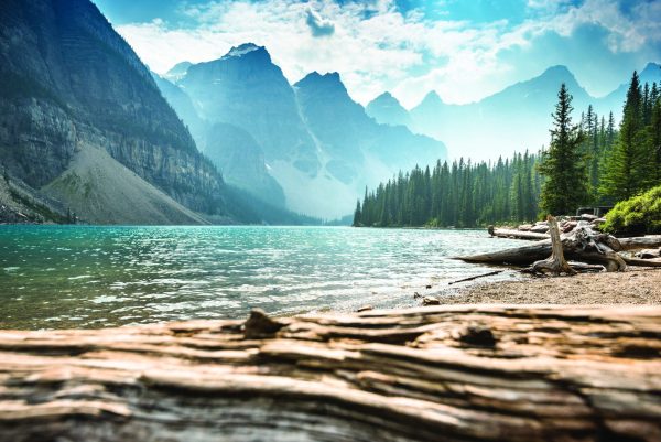 Rockies road: how Canada’s spirits market is evolving