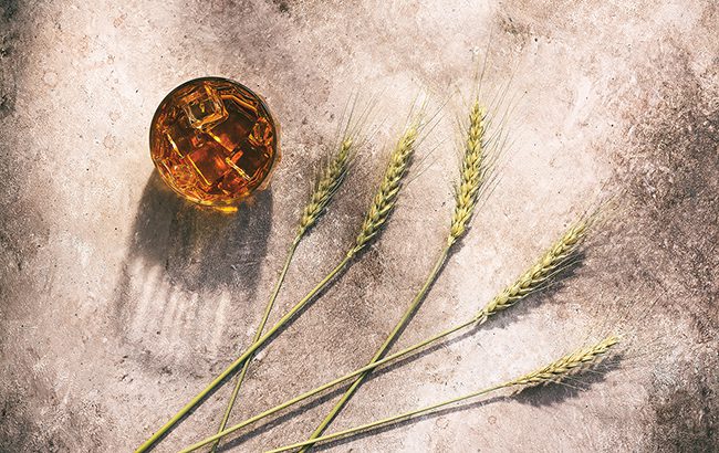 Rye whiskey in a glass with ice and ears of wheat or rye in the sunlight with long shadows on a beige rustic background. Top view, flat lay