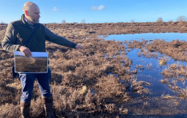 Suntory continues to protect peatlands