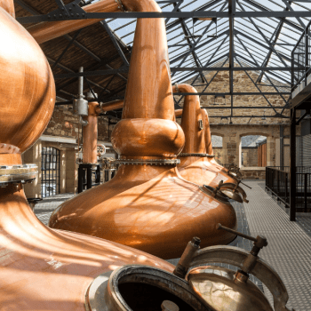 The Borders Distillery stills