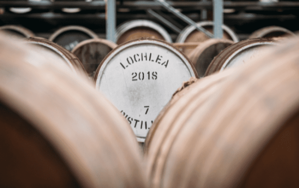 Lochlea opens cask programme to public