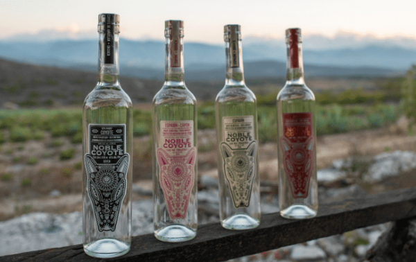 Noble Coyote lands in Turkey