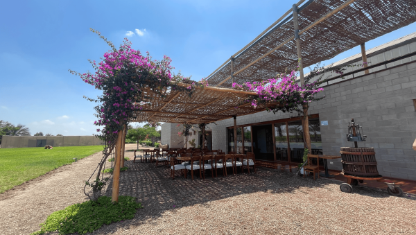 SB visits… eight pisco bodegas in Peru