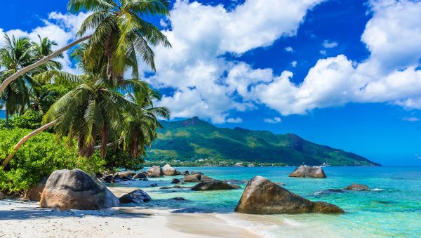 Is 2024 the year rum explodes in GTR?