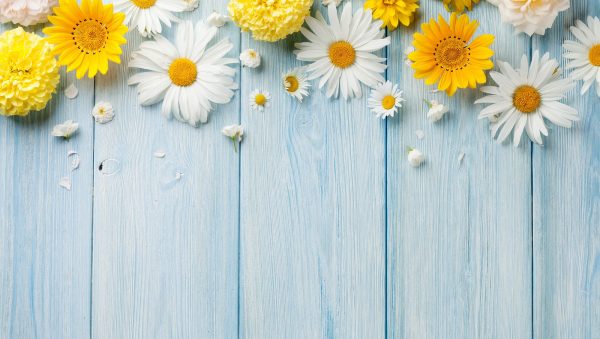 The DB & SB Spring Blind Tasting 2024 results