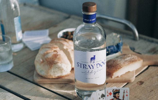 stray dog wild gin