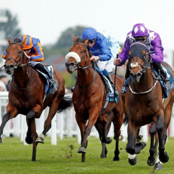 Highclere Castle sponsors Carnarvon Stakes