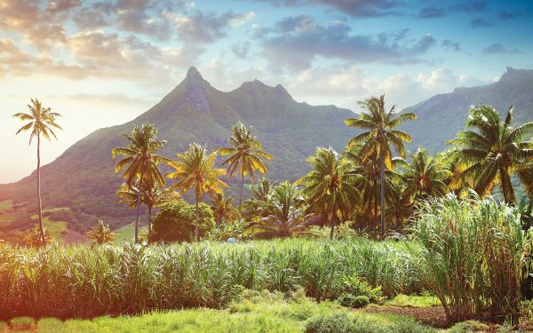 Is rum finally turning premium?