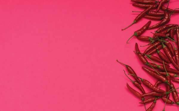 Agave prices fall as Tequila heats up