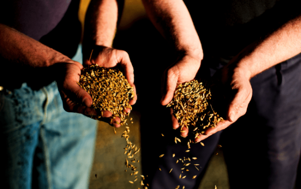 Chivas Brothers supports Scotland’s farmers