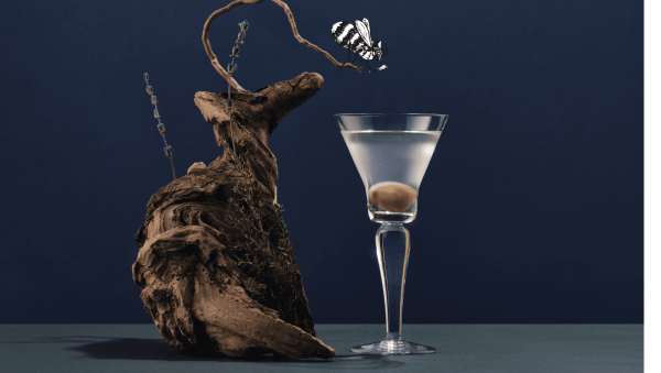 Around the world in 10 Martinis