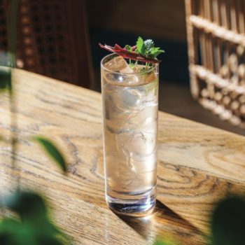 Secret Garden Distillery Summer Refresher