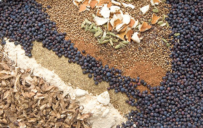 gin botanicals