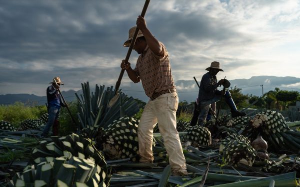 Top 10 award-winning Tequilas