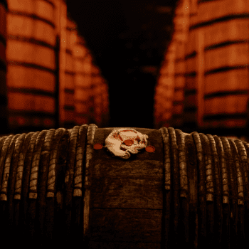 Les Fûts Uniques de Martell