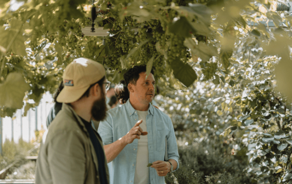 The Secret Garden promotes sustainability