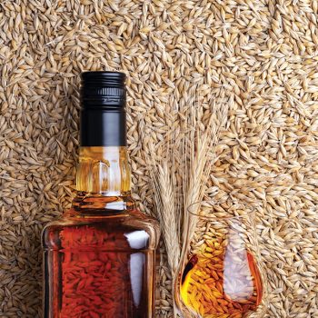 A glass of whiskey with bottle on barley grains as background, top view