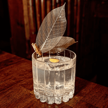 Bosque gin Negroni