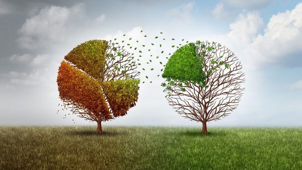 Spirits weather challenging economic climate