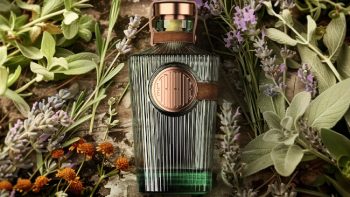 Top 10 award-winning spirits packaging designs