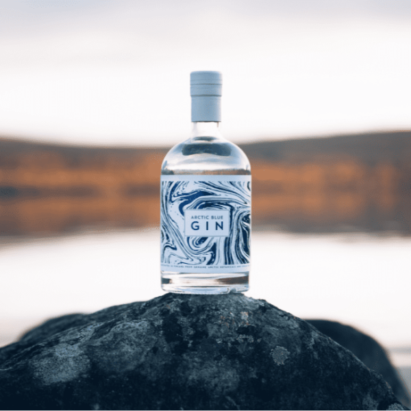 Arctic Blue partners with Bemakers