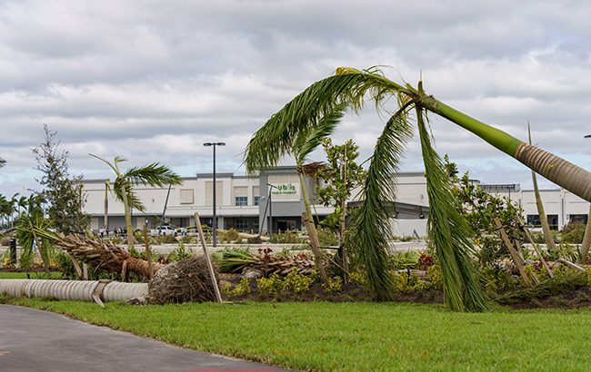 Bacardi. Hurricane Milton made landfall in Florida on 9 October