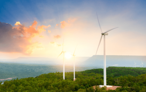 Beverage brands form renewable energy alliance