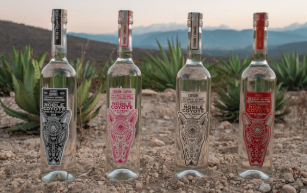 Noble Coyote Mezcal lands in Poland