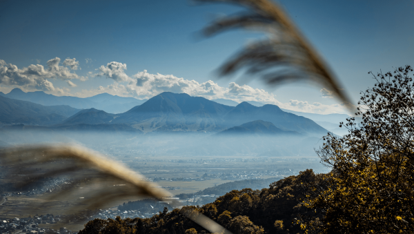 New challenges for Japanese whisky