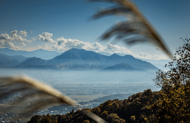 New challenges for Japanese whisky