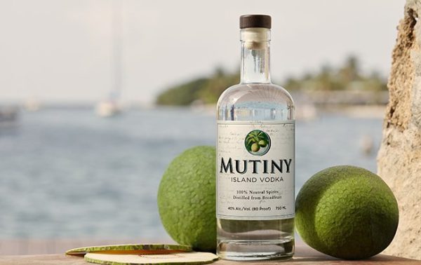 ‘World’s first’ breadfruit vodka aims to save the planet