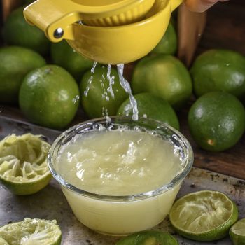 Lime Juice Squeezer