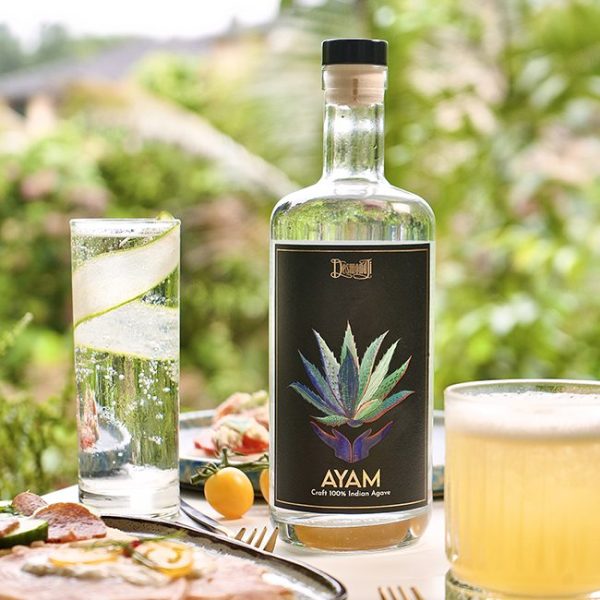 Indian agave spirit lands in UK