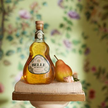 Belle de Brillet 1W5A1717 - BD