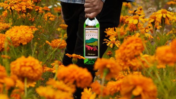 The life-changing magic of mezcal