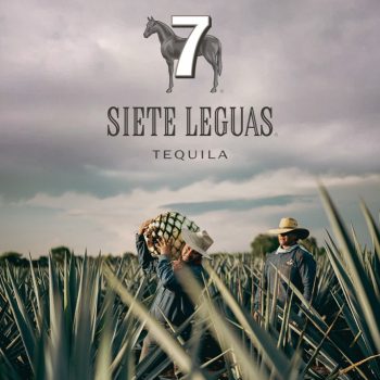 Siete Leguas Tequila