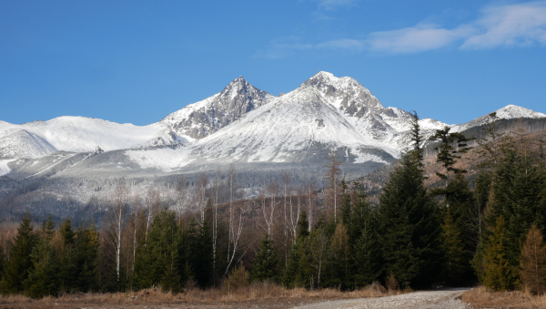 SB visits… Tatratea