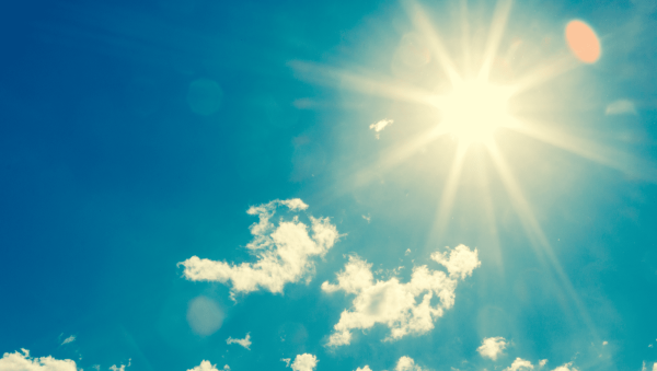 How can basement bars thrive in summer?