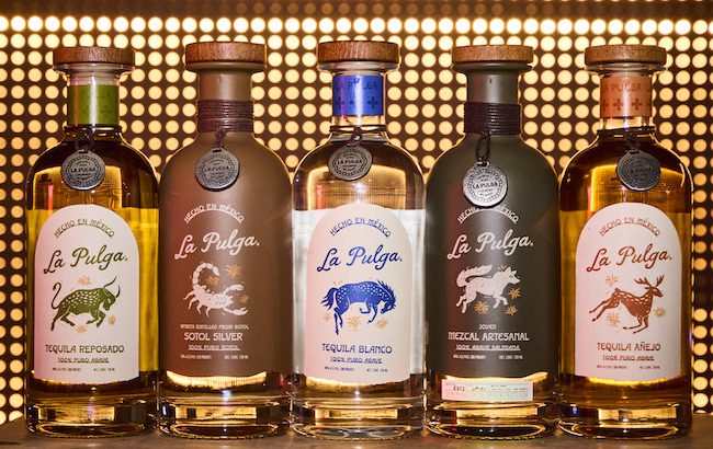 Five bottles of La Pulga agave spirits on a counter back lit by many lights
