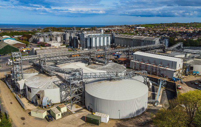 Simpsons Malt Site