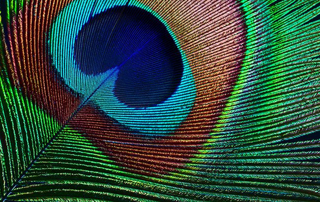 Spirits-packaging-light
