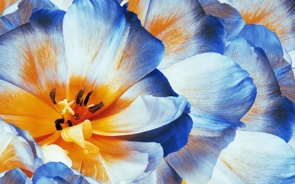 The SB Spring Blind Tasting 2025 results