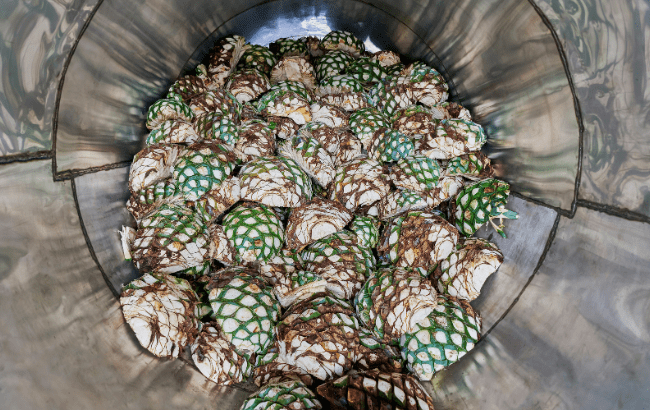 agave Tequila