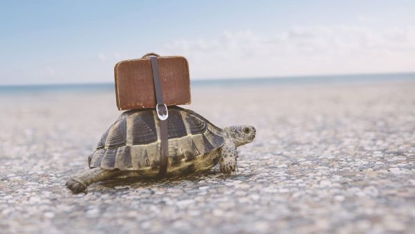 Slow going: rum eyes growth in travel retail