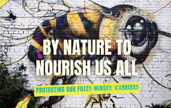 Avallen celebrates six years and World Bee Day